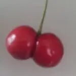 ╰⋛❤苹果哥❤⋚╯