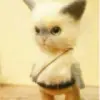 か爱の追求℡