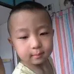 森林狼1314521