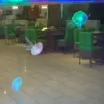 缂丝德