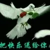 C哩哟哪个S