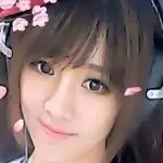 骄傲的飞鸟