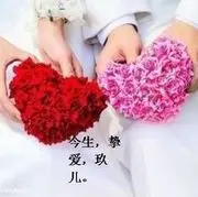 维纳斯小情歌