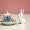 ℡梦想兔子※