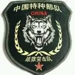 我的世界以暫停