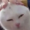 雷阵雨**