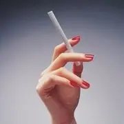 小毛先生