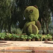 @平行线