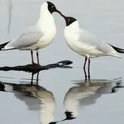 微信_0976296