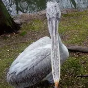 欧普阳光房
