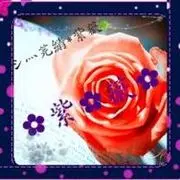 乄柒夏そ🌺紫薇☆彡