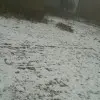 さ侽神酒♂天1