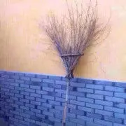 ゞ老★硬ゞ