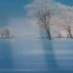 舞了了