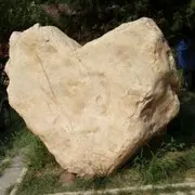 不关注，不刷币