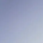 豹--哥