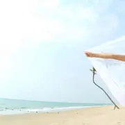 我的密友