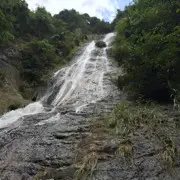 潮行天下