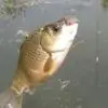 津渔具津