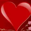 ღ77ღ～巴鸽儿
