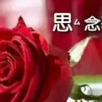 小阿哥的魁星
