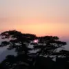 妖精哪里跑.