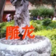 我爱猎豹