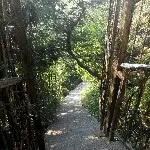 逸@尘