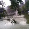 一缕阳光vcu