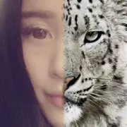 ❥。。。。。