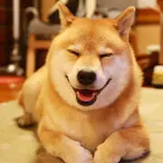 风云小天