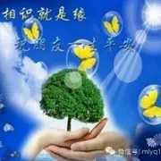 波动心璇