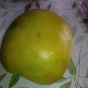 乘客哥