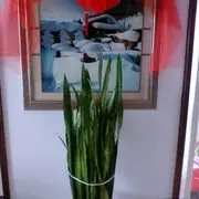 @晋美平型关