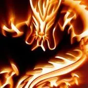 @龙★九@