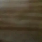 静真伊人79
