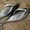 昵称违规，请重新修改