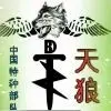 天狼gvw