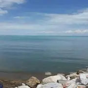 微信_8957370