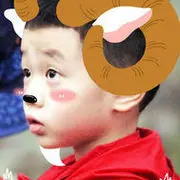 审核巡管004