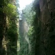 心灵的对话