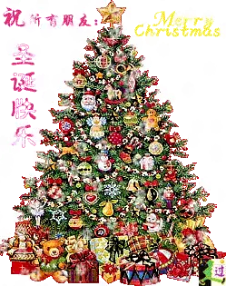♪♪爱的❤奉献♪♪的主播照片