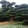 黄冈蕲春