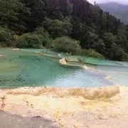 努力三哥