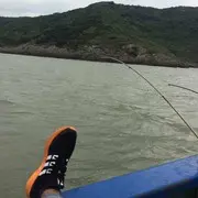 Wy大浪淘沙