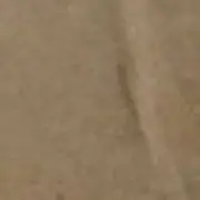 承诺的减肥何以