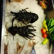 昵称违规，请重新修改