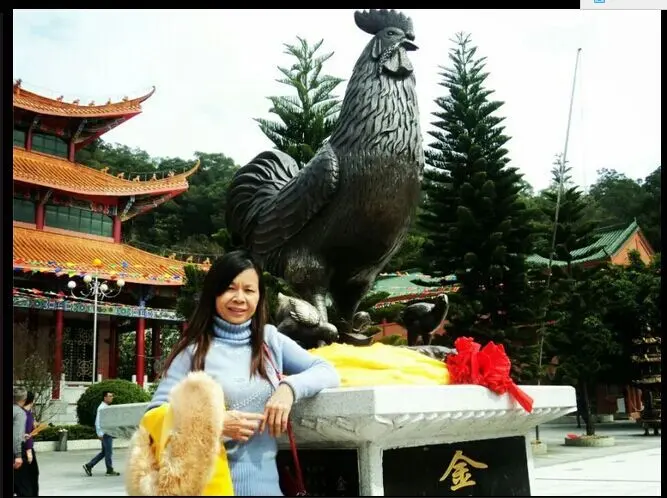 ╮维也纳╭的主播照片