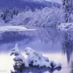 苍鹰26