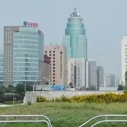 虎哥到来